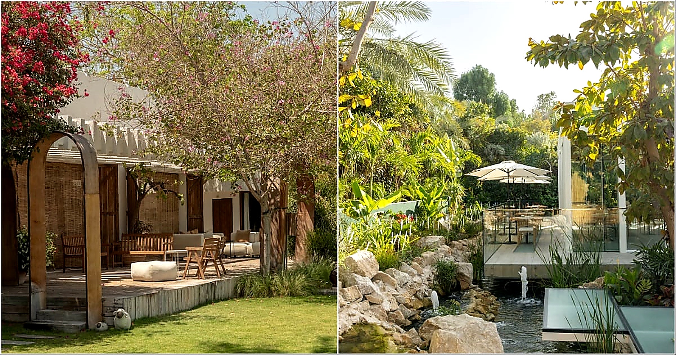 Explore Dubai’s Most Serene Garden Cafés for a Relaxing Retreat